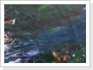 Ohne Titel 2019 Ohne Titel 2019