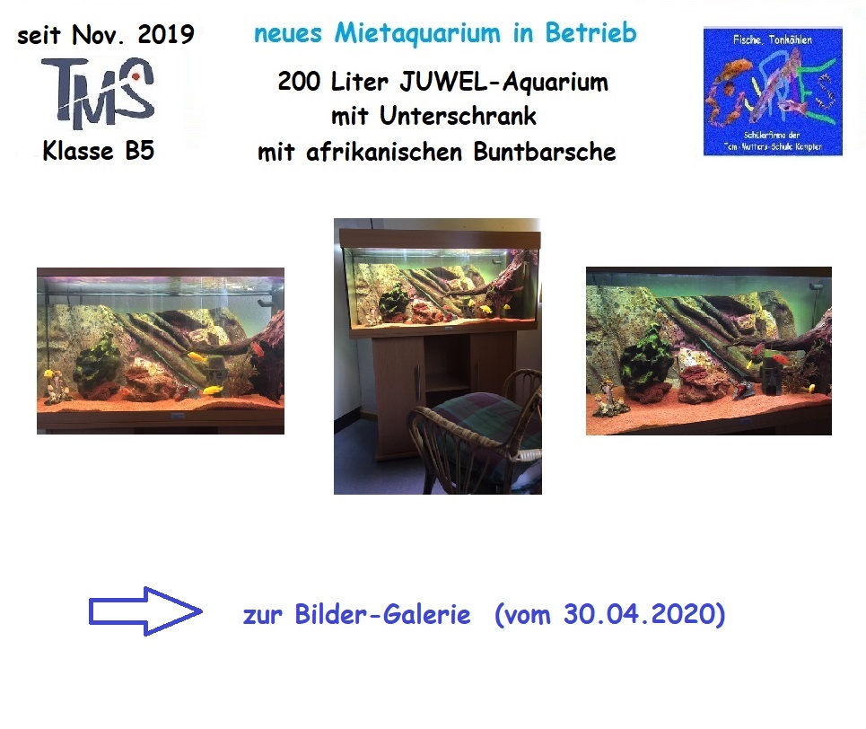 zur Galerie !