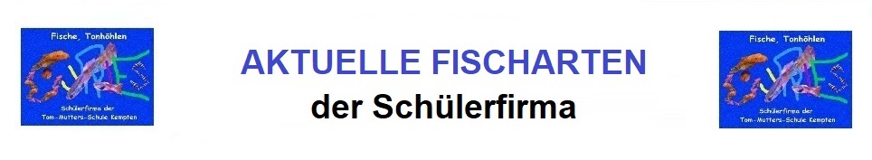 mehr dazu !